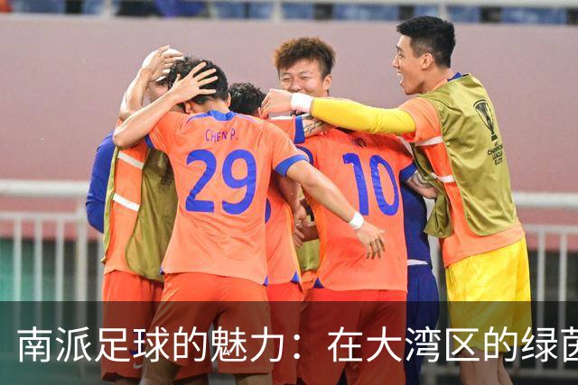 南派足球的魅力：在大湾区的绿茵场上舞动的精、快、灵